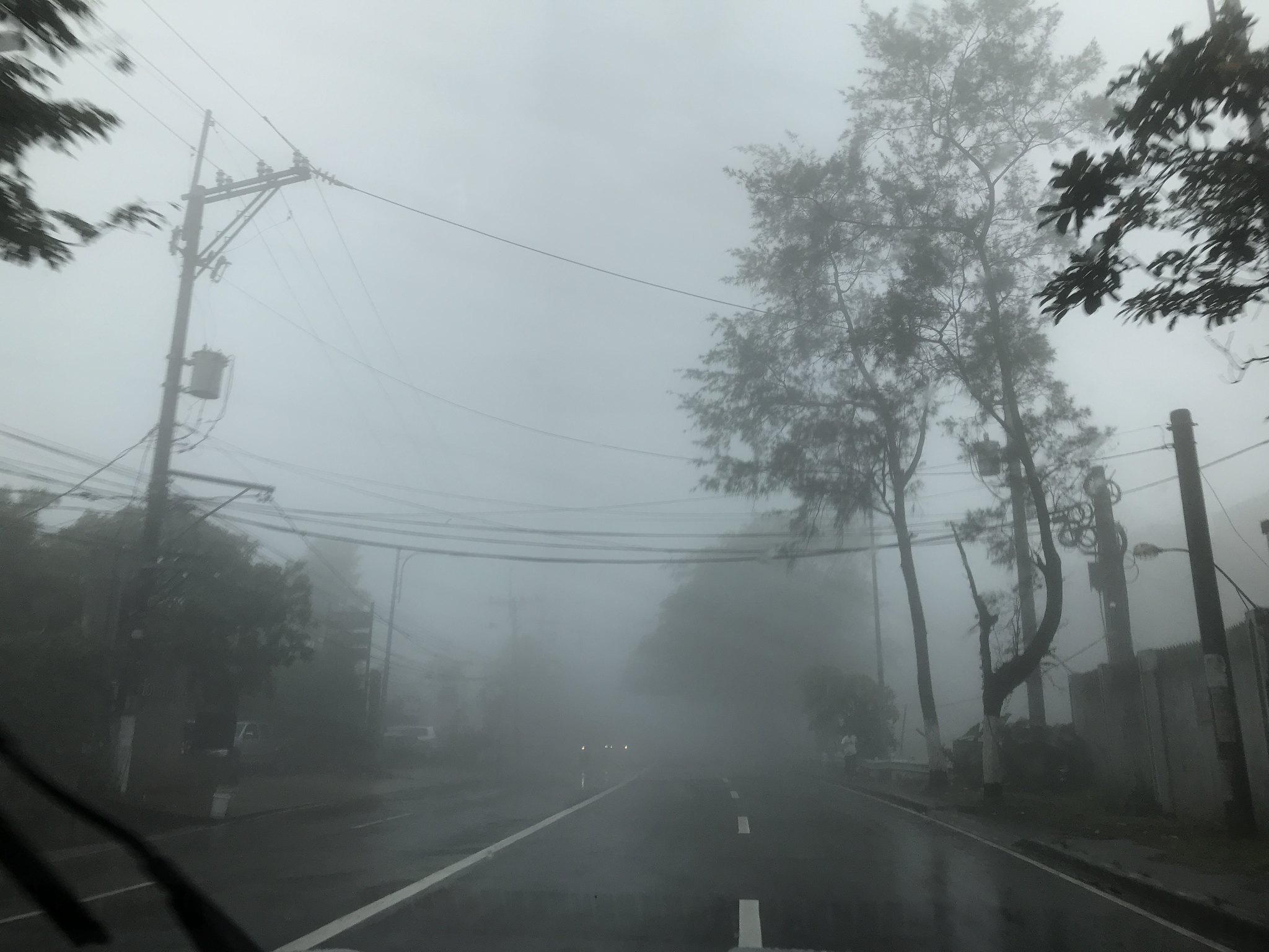 thick fog, farm 039