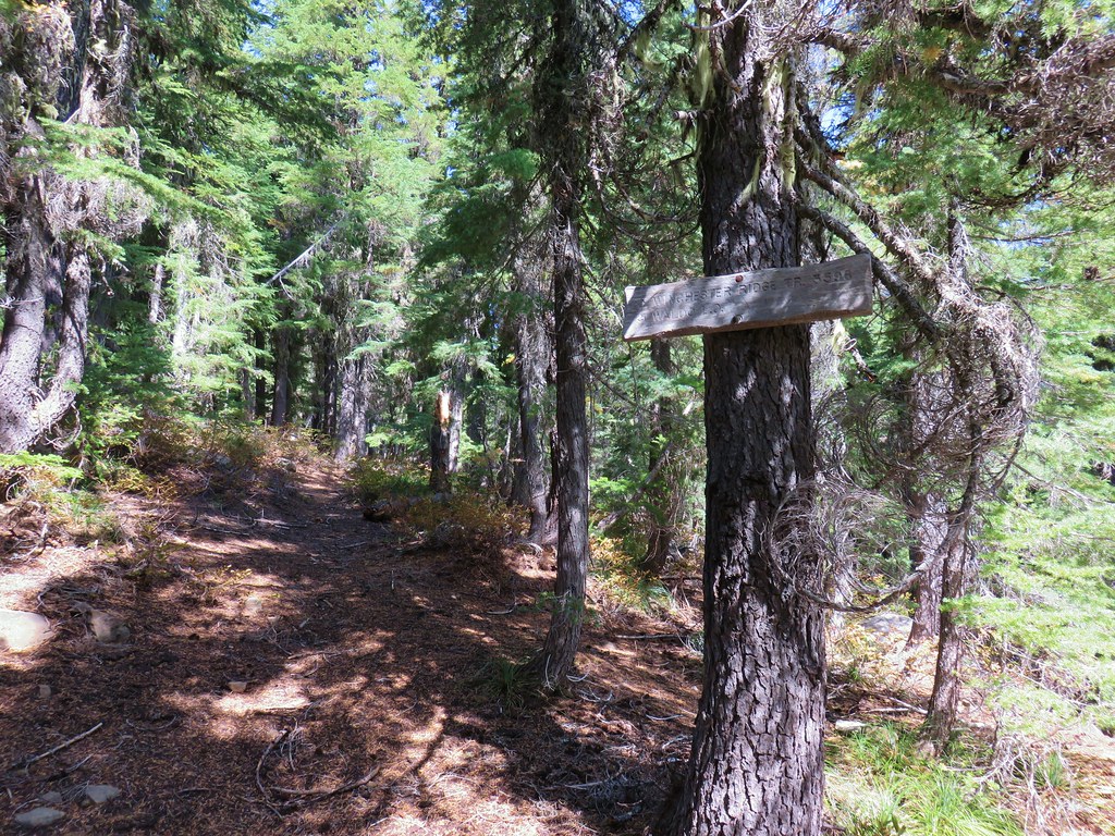 Winchester Ridge Trail