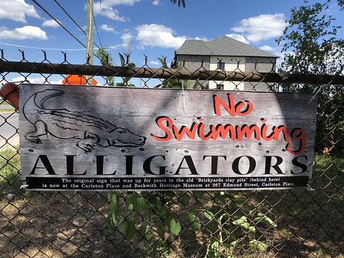 Carleton Place - No Alligators