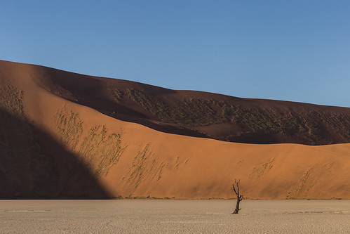 namibia sossusvlei deadvlei dunes sand namibnaukluft national park namibdesert canon landscape sunrise tree deadtree nature