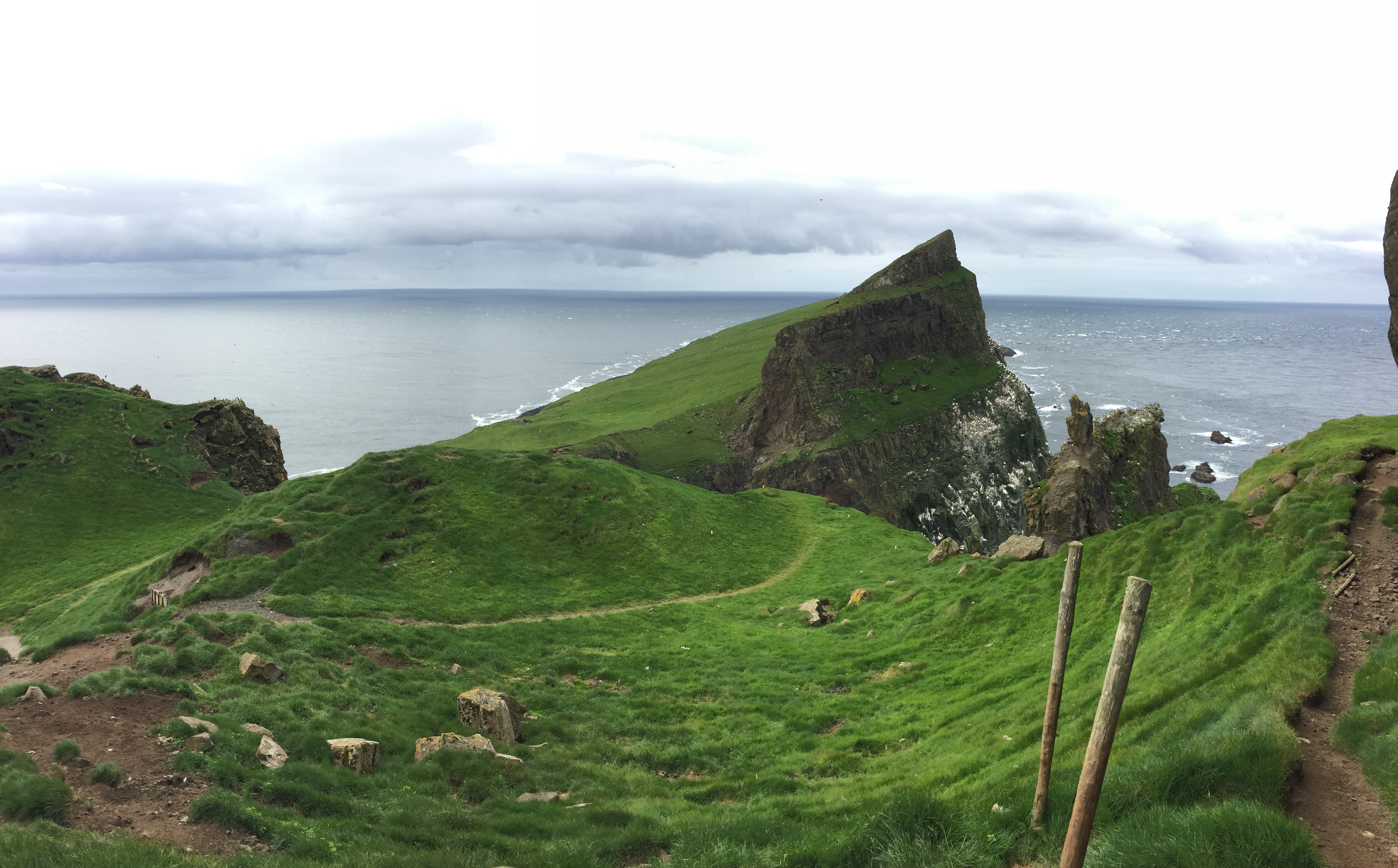 Diario de Viaje Islas Feroe - El Reino de Thor - Blogs de Dinamarca - DIA 2 - Mykines, el hogar de los frailecillos (9)