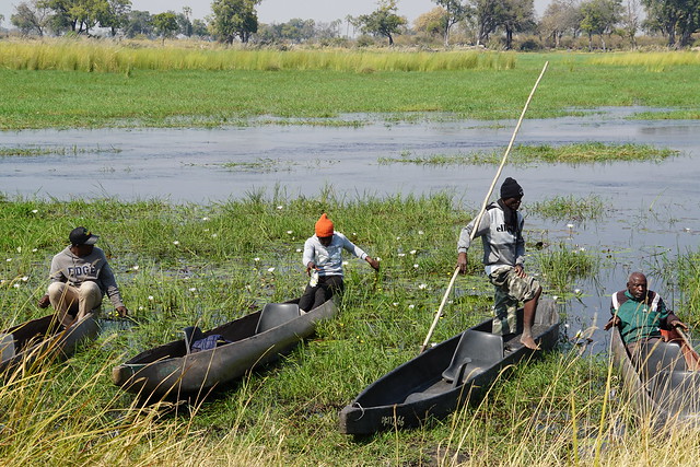 Delta del Okavango: safari a pie y paseos en mokoro, emoción y relax en Botswana - BOTSWANA, ZIMBABWE Y CATARATAS VICTORIA: Tras la Senda de los Elefantes (13)