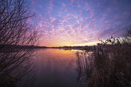canon canon6d sunrise dramaticsky sky clouds colour reeds water reflection lake uk cambridgeshire outdoors nature