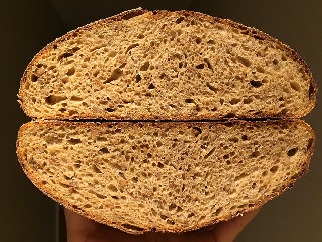 Sprouted Rye - Molasses