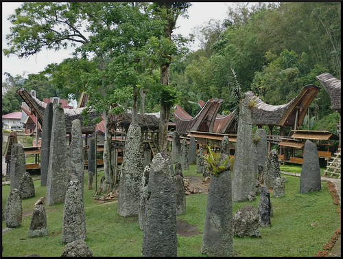 Sulawesi, descubriendo las tradiciones Tana Toraja - Indonesia en 2 semanas: orangutanes, templos y tradiciones (57)