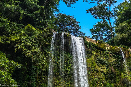 travel mexico chiapas selva rainforest tropical landscape nature wood tree palenque water waterfall river rock