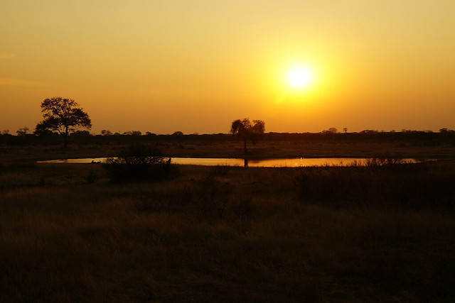 Hwange National Park, territorio salvaje - BOTSWANA, ZIMBABWE Y CATARATAS VICTORIA: Tras la Senda de los Elefantes (33)