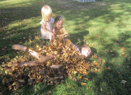 buried in leaves