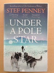 Under A Pole Star - Stef Penney