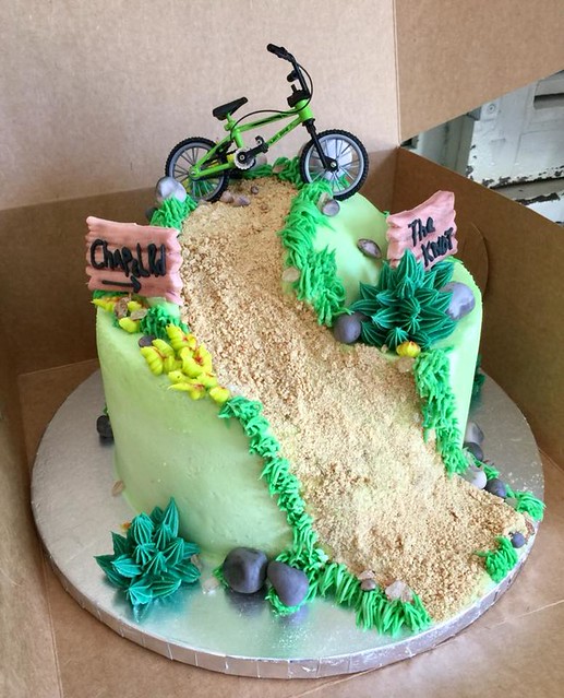 Mountain Bike Themed Grooms Cake by Ilovethebatch 