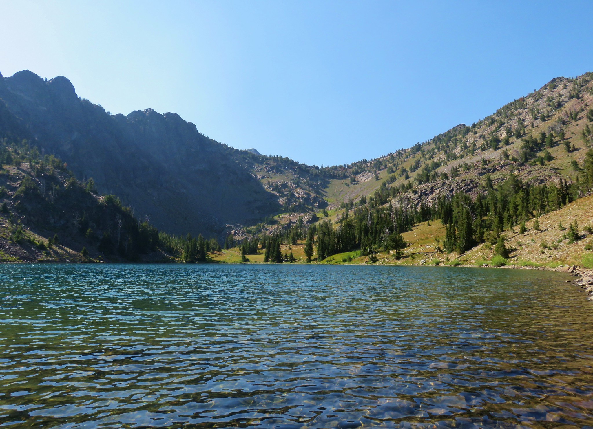 sheep lake – wanderingyuncks