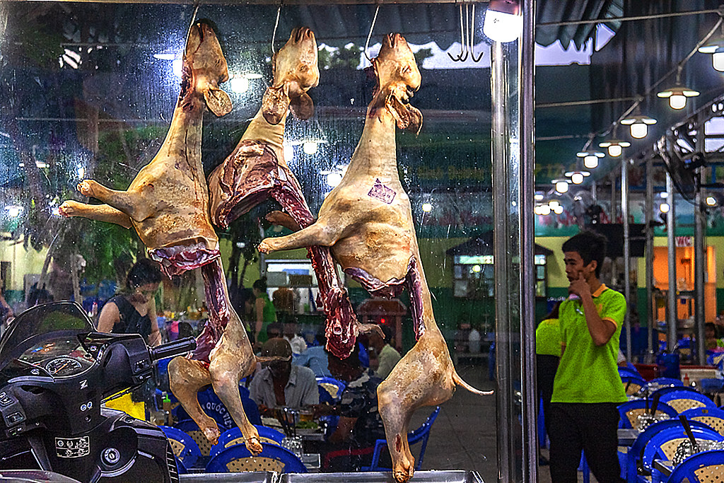 Goats--Saigon