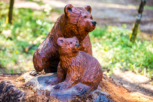 america california chandeliertree leggett mendocinocounty northerncalifornia usa unitedstates unitedstatesofamerica bear sculpture us fav10