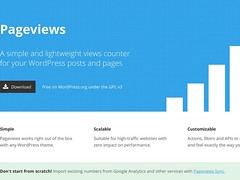Pageviews for WordPress