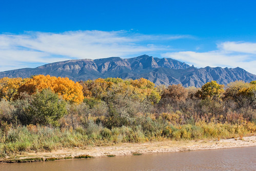 newmexico albuquerque tree river nature water mountains fall usa