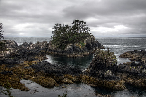 canada britishcolumbia bc hdr ucluelet outdoor sky overcast water h2o tree rock ocean vancouverisland