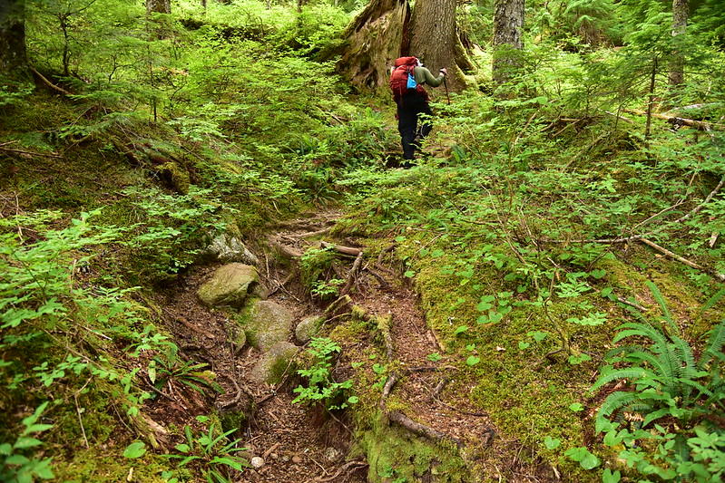 Deception Creek Trail