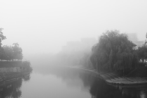 bw blackandwhite landscape river canal fog dawn morning weepingwillow ljubljana slovenia slovenija europe balkan balkans travel travelphotography water reflection autumn