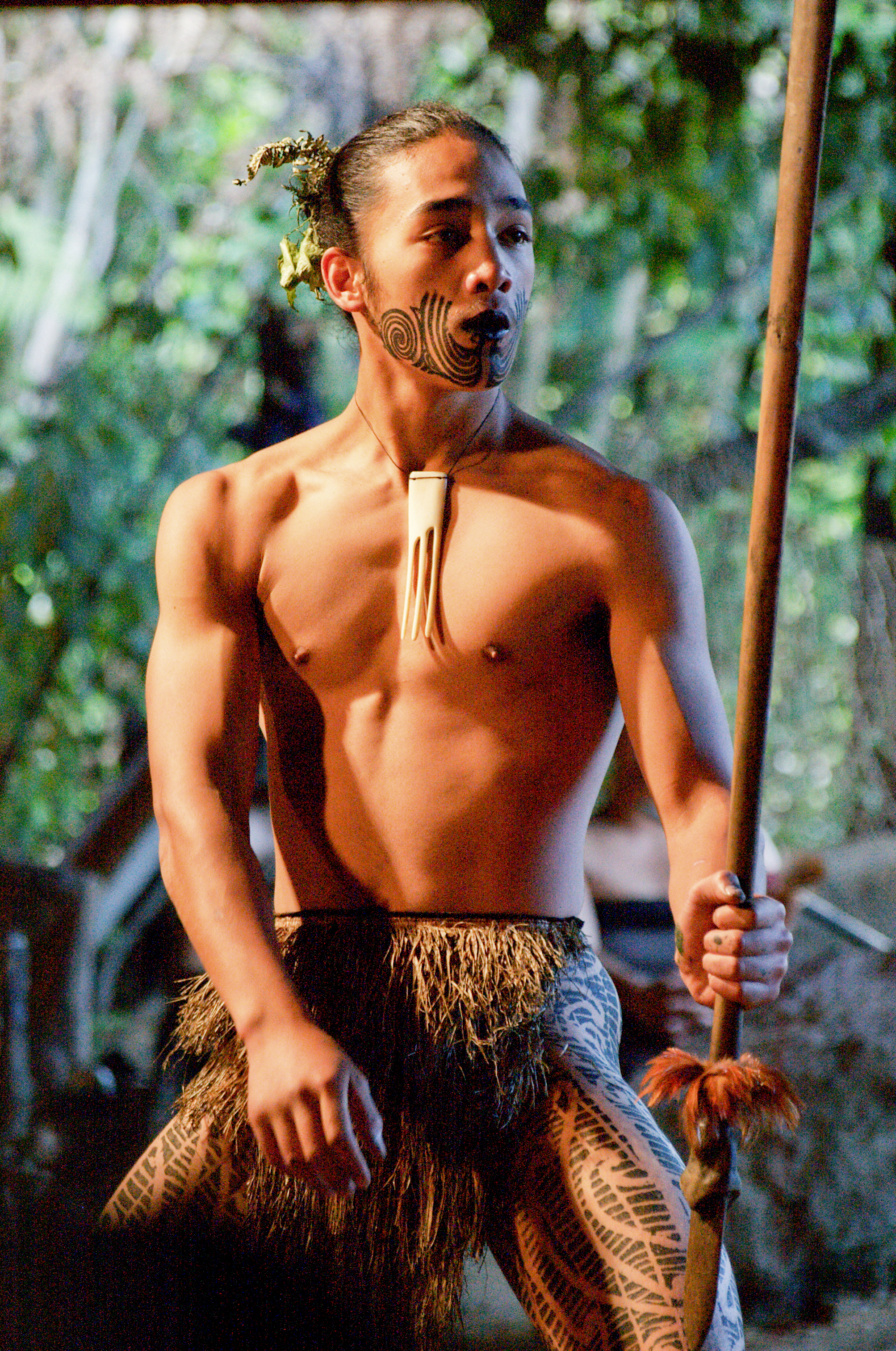 Young Maori man performing in a kapa haka group during a Maori dance troupe event in Rotorua. In his left hand is a taiaha -- a traditional close-quarters weapon of the Māori, made from either wood or whalebone and used for short, sharp strikes or stabbing thrusts with efficient footwork on the part of the wielder. Photo taken on December 30, 2006.