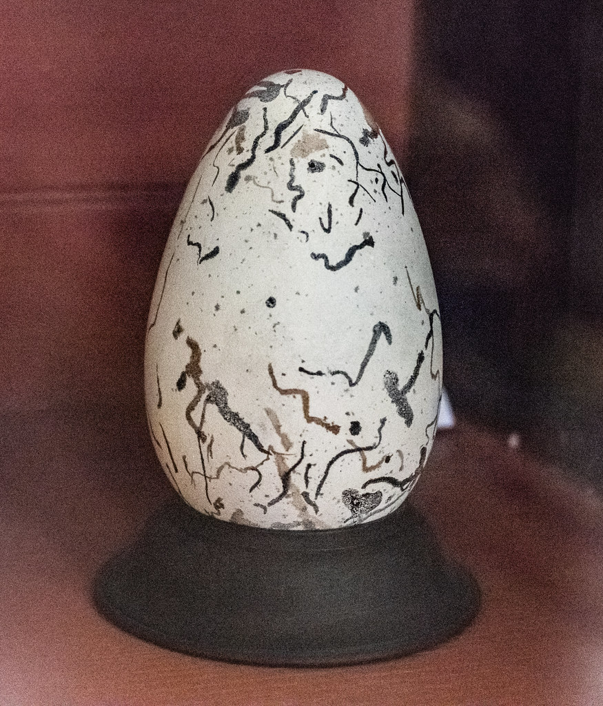 Great Auk Egg