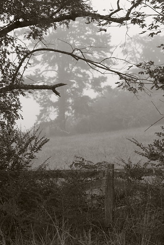 westernnorthcarolina fog pentax k1 smcpentax11885mm iridientdeveloper