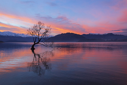 tbt throwback newzealand wanaka tree lake mountains amazing travel hike hiking adventure friends fun life nature landscape peace peaceful evening sunset awesome canon 2018 water reflections sky clouds
