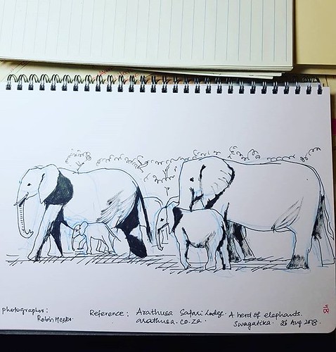 A herd of elephants. Photo reference. arathusa.co.za photo credit Robin Hester. #herdofelephants #animalsketch #wildlife