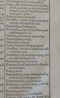 Florio's World of Words M6v detail (Gatta)