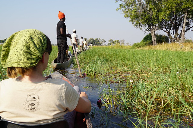 Delta del Okavango: safari a pie y paseos en mokoro, emoción y relax en Botswana - BOTSWANA, ZIMBABWE Y CATARATAS VICTORIA: Tras la Senda de los Elefantes (16)