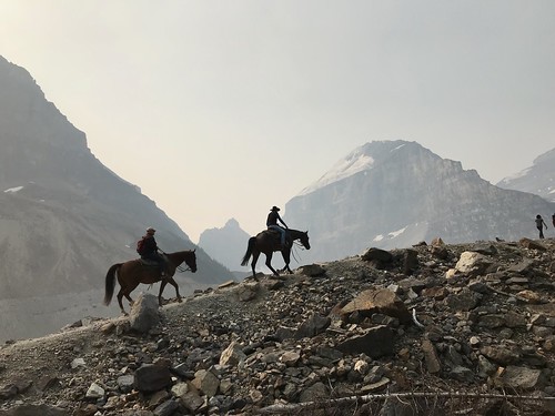 Horseback ride, Plain of Six Glaciers