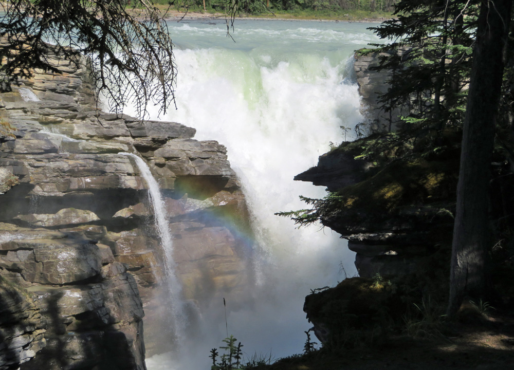 athabasca-falls-jasper