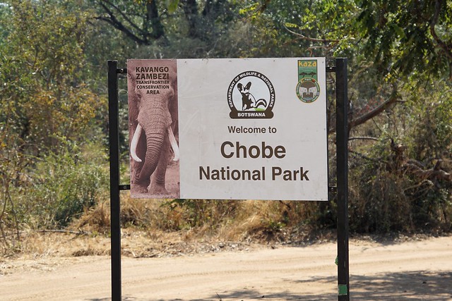 Chobe Riverfront: safari en 4x4 y crucero por el río - BOTSWANA, ZIMBABWE Y CATARATAS VICTORIA: Tras la Senda de los Elefantes (6)