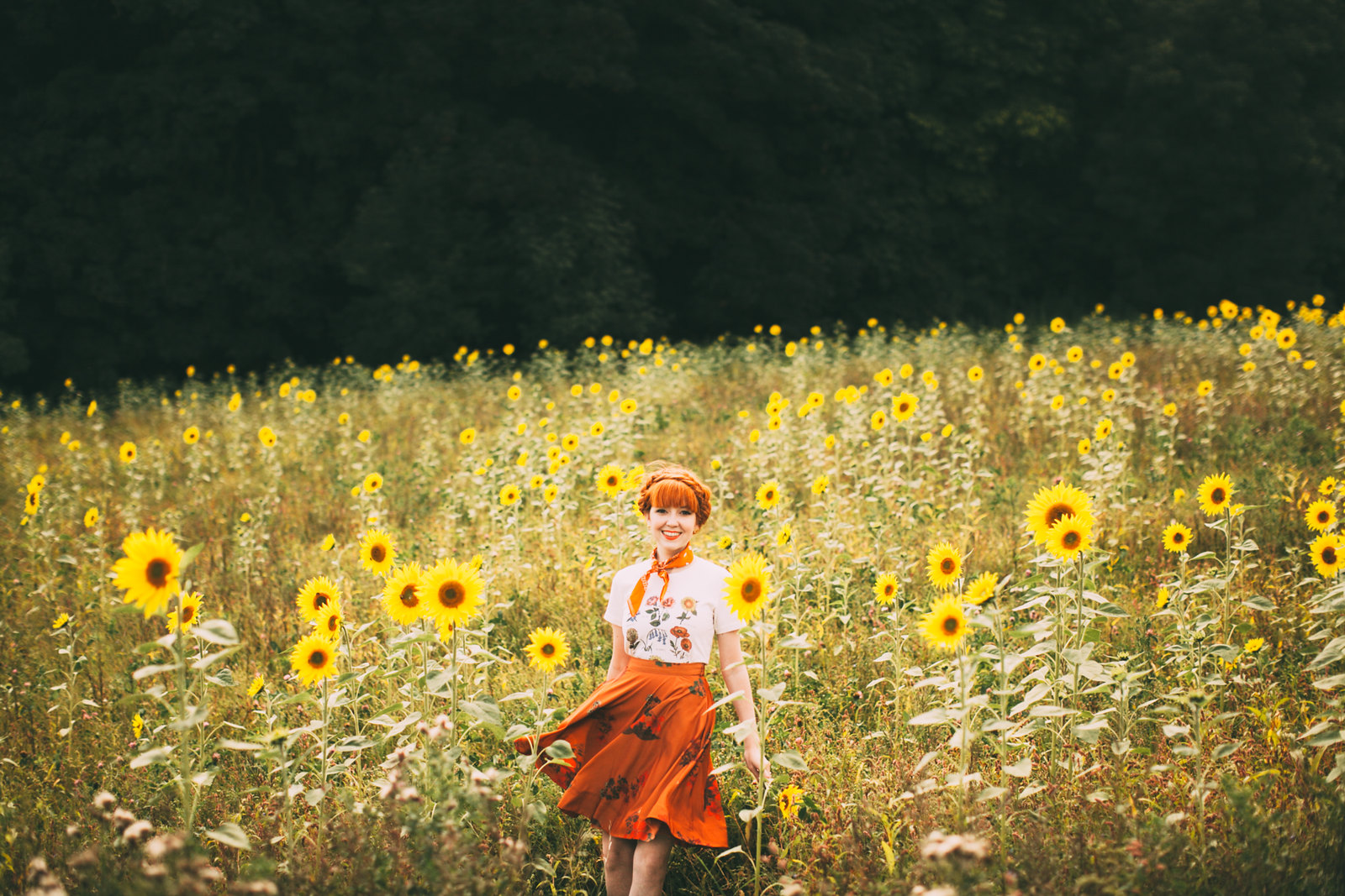 sunflower field-24