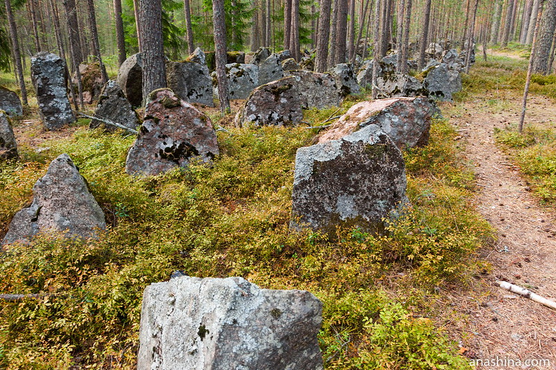 Финские гранитные противотанковые надолбы, Карельский перешеек