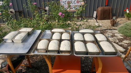 sandylake manitoba baking bread