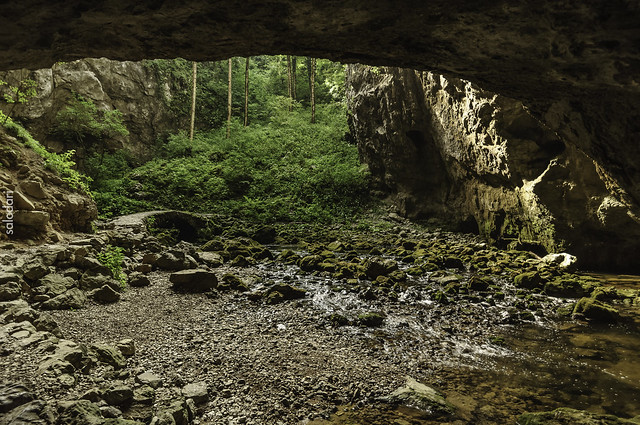 Rakov Škocjan, el valle de las cuevas y los puentes naturales, Naturaleza-Eslovenia (9)