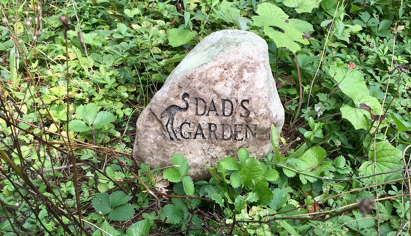 Dad's garden