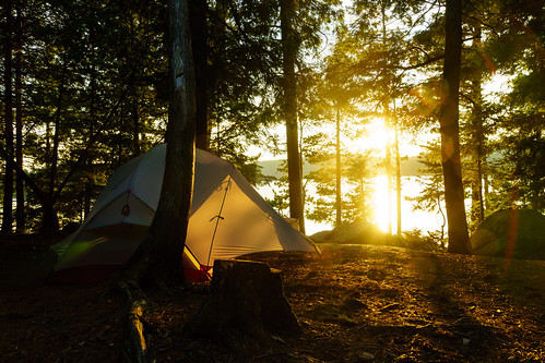 algonquin algonquinpark algonquinhighlands ontario canada ca tent camping backcountry sunset lens flare tree forest