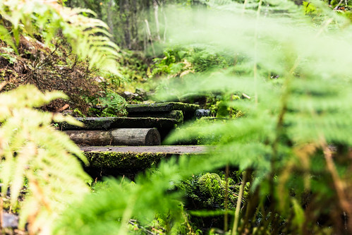 finland kuopiotahko lakeland metsäkartano pumpulikirkko rautavaara hiking kohde luonto luontokohde nature outdoor retkeily walking