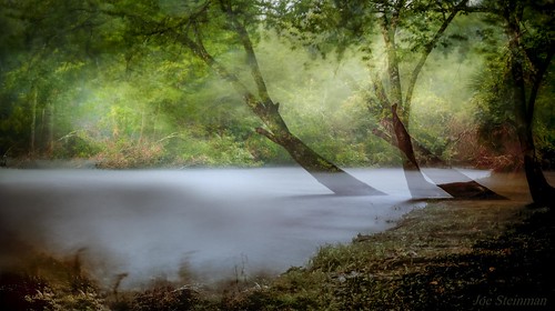 woods longexposure doubleexposure neutraldensityfilter storm rain light illumination inspirational