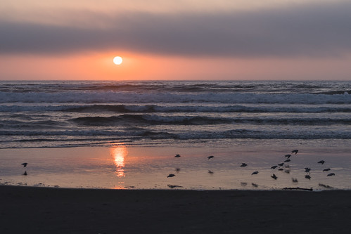 florence oregon unitedstates us beach sunset hecetabeach lanecounty