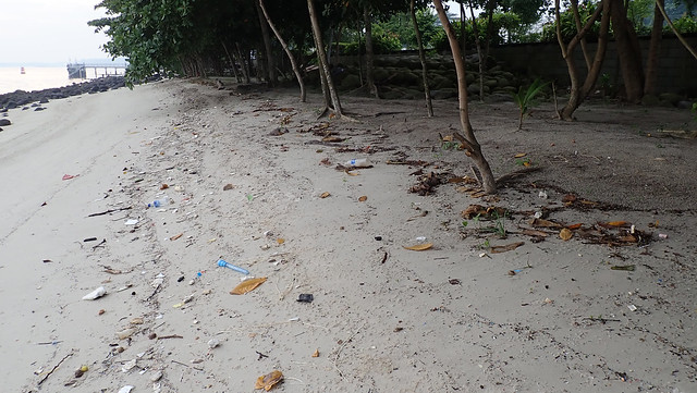 Trash on Punggol shore