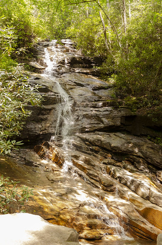 jones gap the south carolina forest woods outdoor landscape water stream middle saluda waterfall