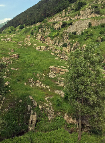 armenia caucuses mountain field nature hillside meadow composition macro yellow road highway roadtrip travel