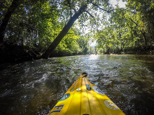 French Broad River - Rosman to Island Ford-18