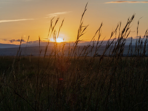 sunrise oloolologate paysage june kenia masaimaranp nature narokcounty kenya ke