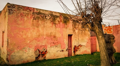 landscape atardecer sunset sun bahiablanca argentina bahiense highcontrast urbex greatshots discarded forgotten abandoned exploration photography contrast bahía blanca outside arbol arboles trees otoño fall autumn branches colorful light old árbol carretera viejo vieja casa house walls paredes painting pink decay