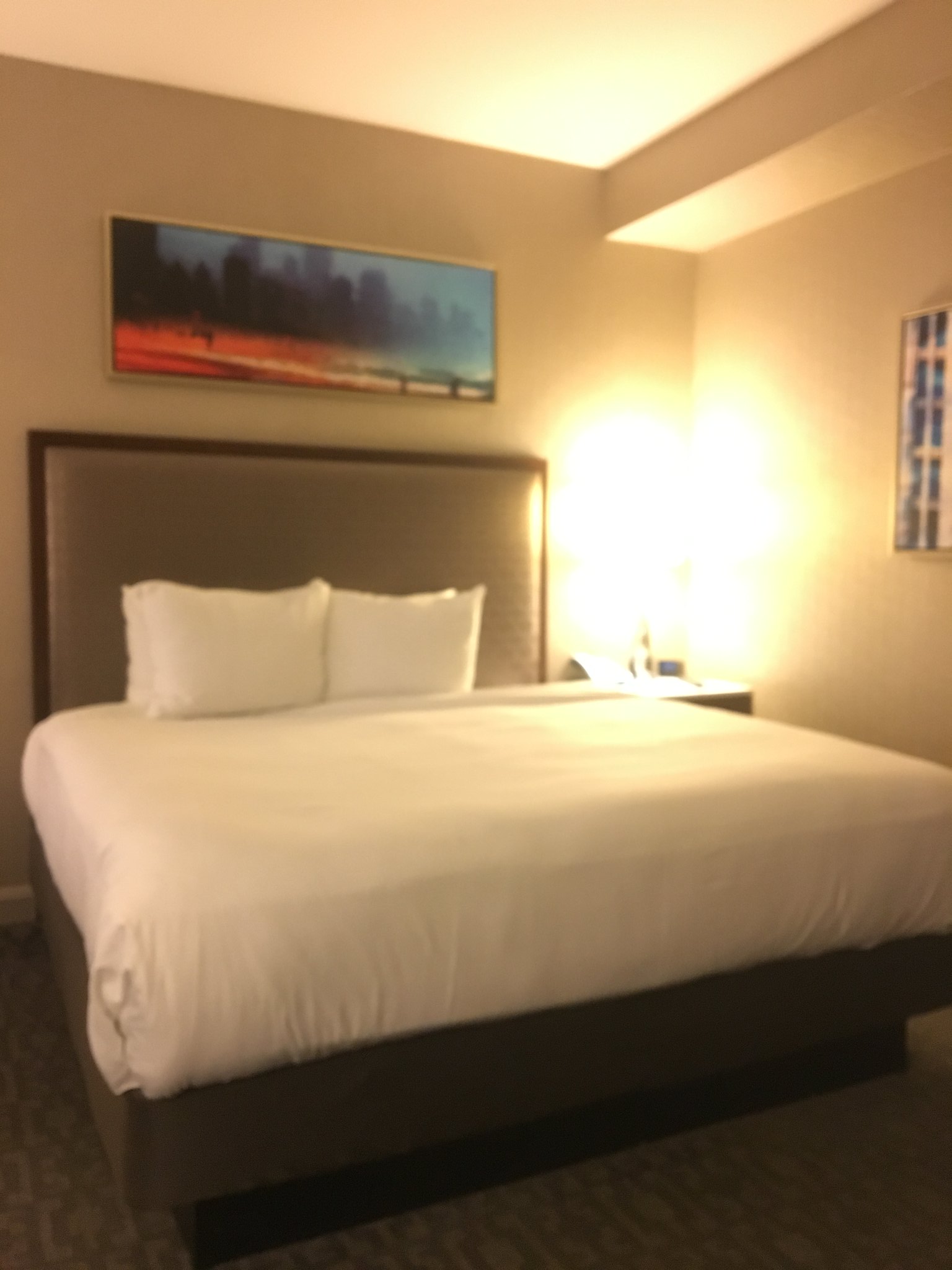 Hilton Chicago | Where to Stay in Downtown Chicago