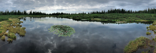 slovenia slovenija rogla landscape panorama lake cloudy marsh ribniškojezero