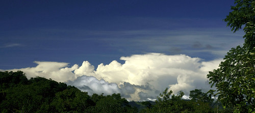 nwn nubes clouds sonya6000 sky trees